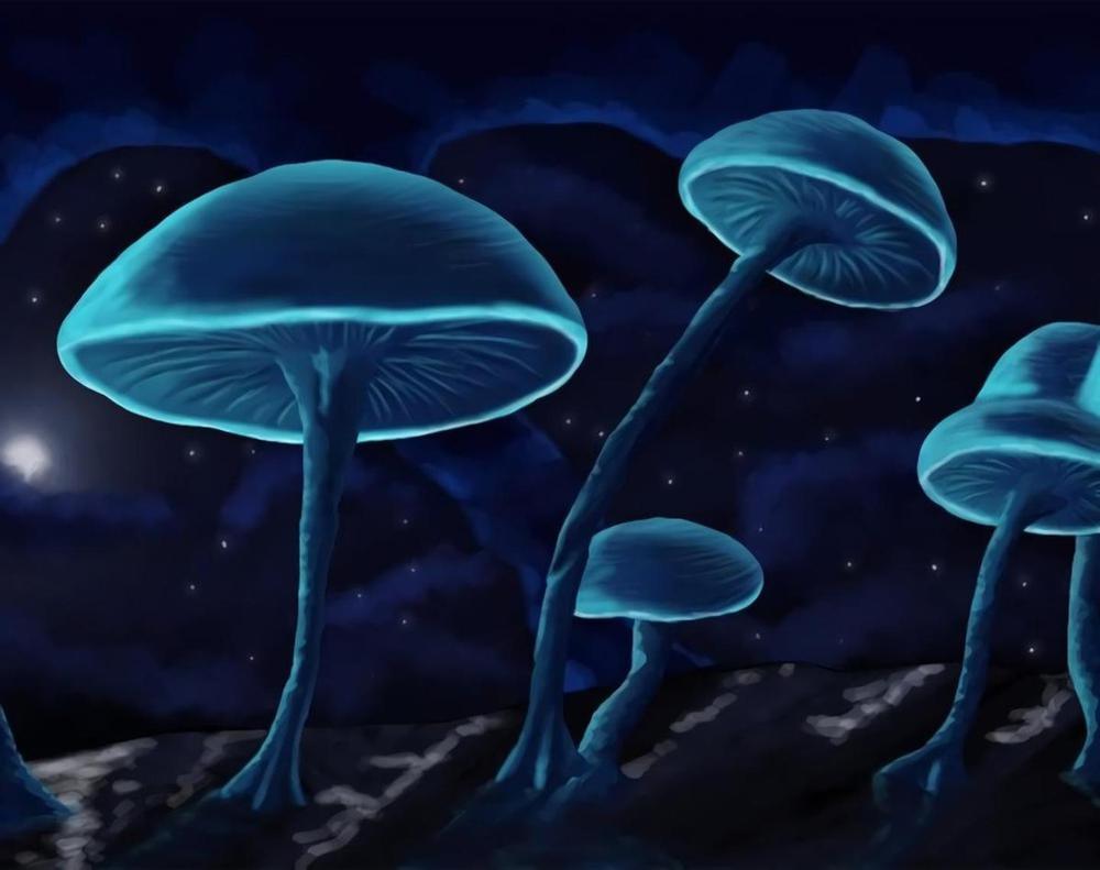 Free Blue Mushroom - MyCraftsGfit - Free 5D Diamond Painting