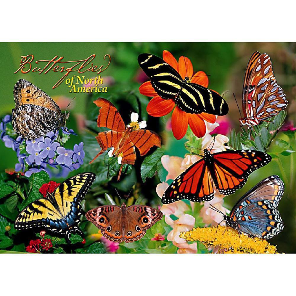 Free Butterfly - MyCraftsGfit - Free 5D Diamond Painting