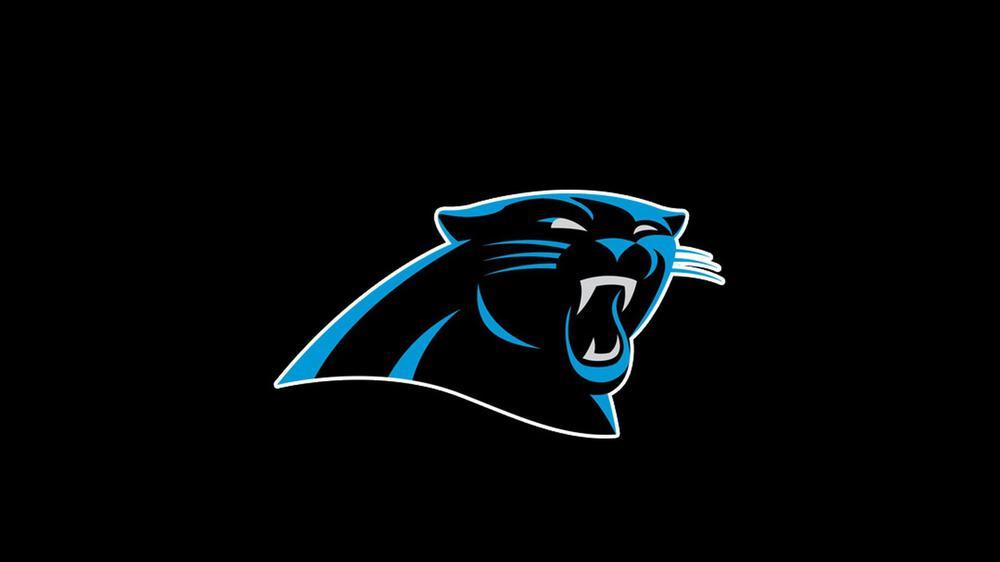 Free Carolina Panthers - MyCraftsGfit - Free 5D Diamond Painting