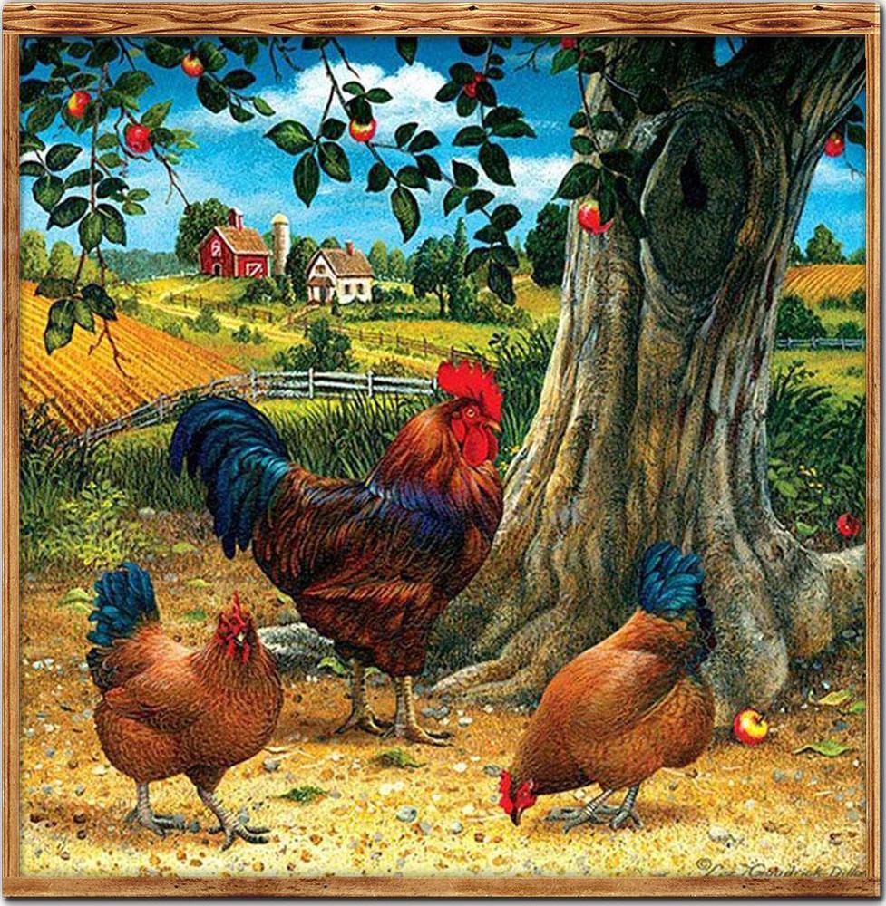 Free Chicken - MyCraftsGfit - Free 5D Diamond Painting