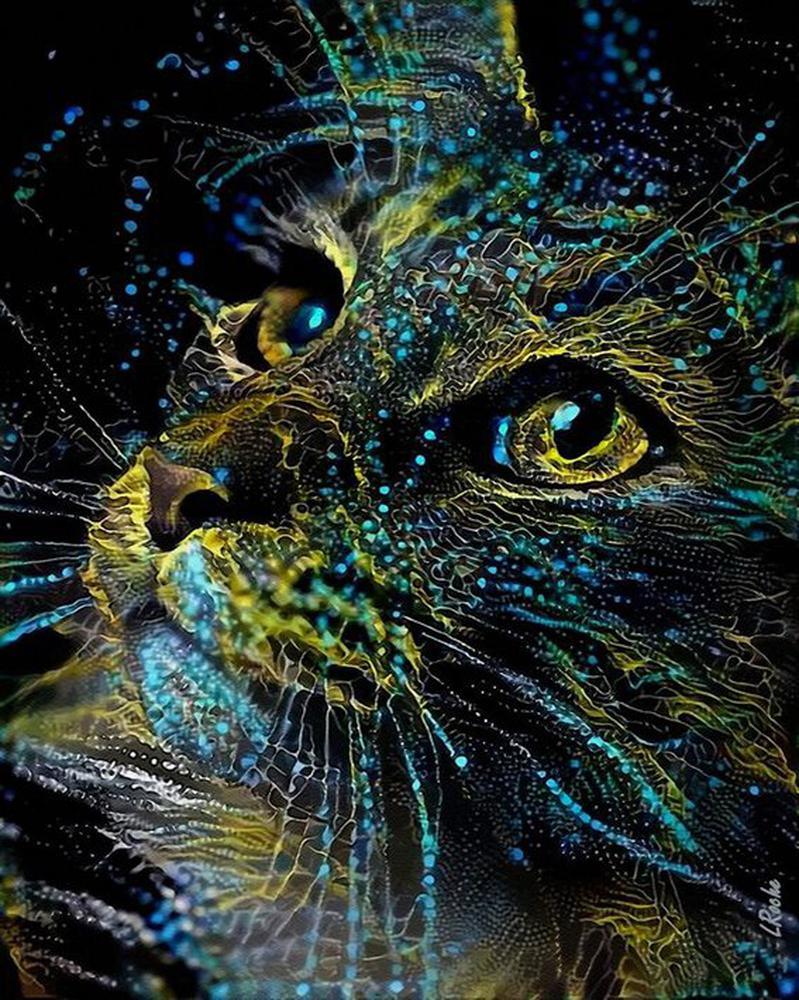 Free Colorful Cat - MyCraftsGfit - Free 5D Diamond Painting