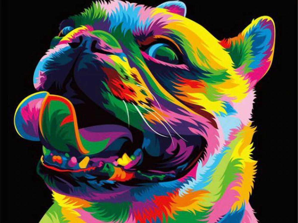 Free Colorful Pug - MyCraftsGfit - Free 5D Diamond Painting