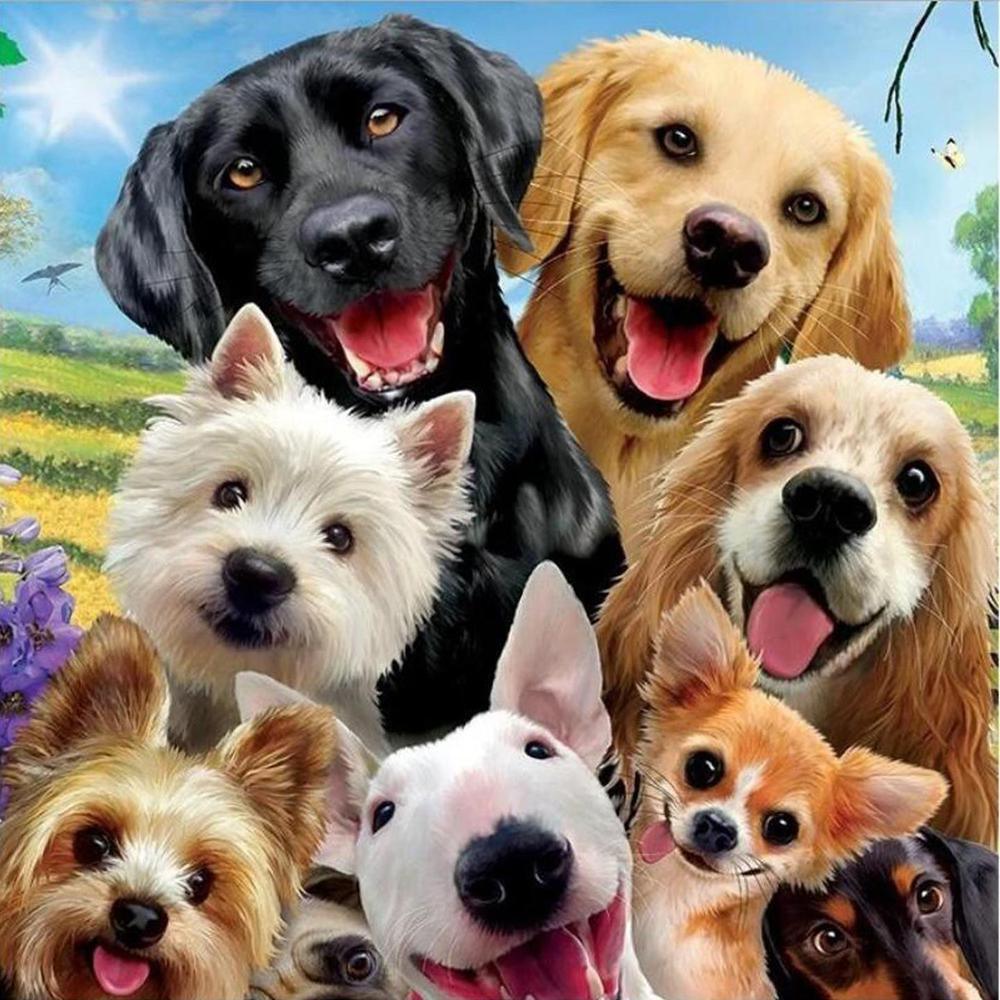 Free Dog - MyCraftsGfit - Free 5D Diamond Painting