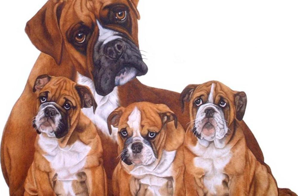 Free Dog - MyCraftsGfit - Free 5D Diamond Painting