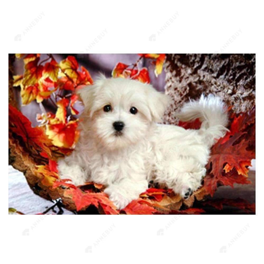 Free Dog - MyCraftsGfit - Free 5D Diamond Painting