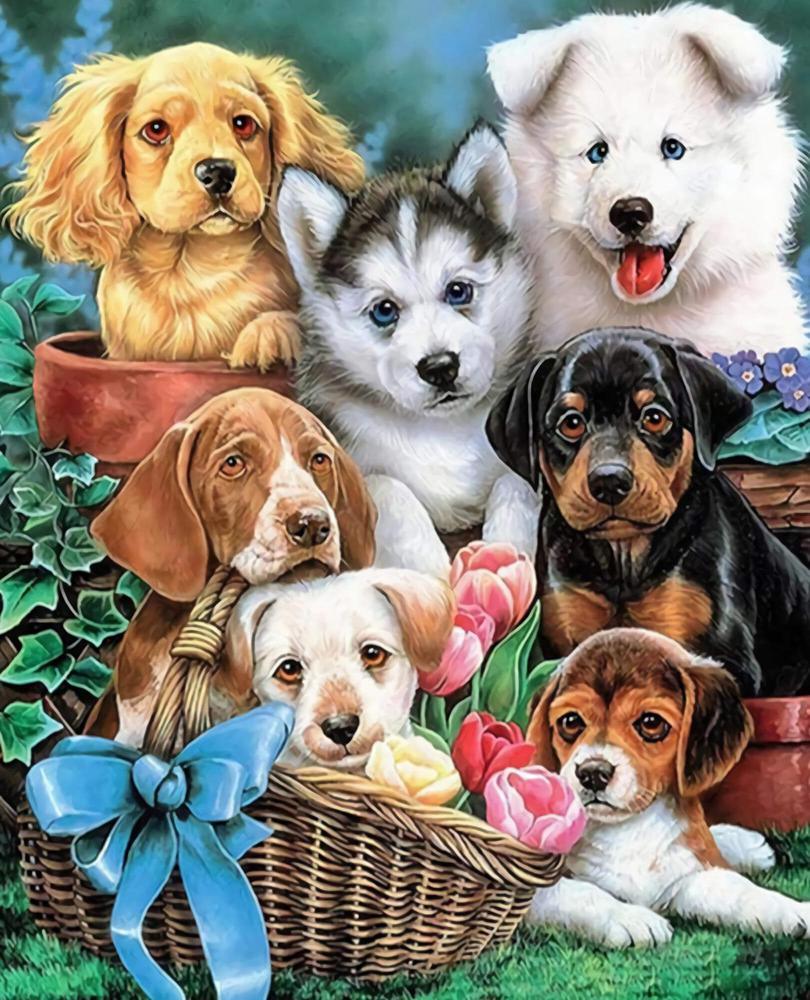 Free Dog - MyCraftsGfit - Free 5D Diamond Painting