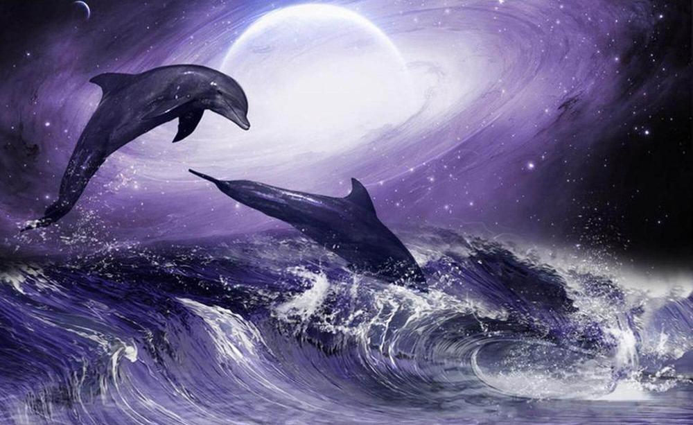 Free Dolphin - MyCraftsGfit - Free 5D Diamond Painting