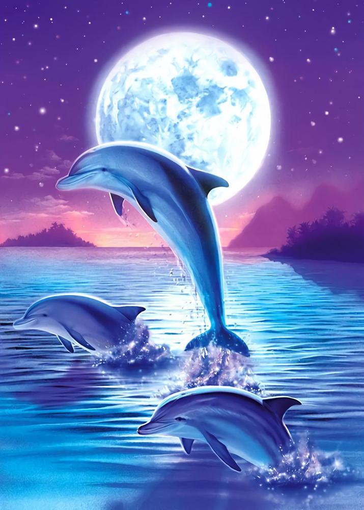 Free Dolphin - MyCraftsGfit - Free 5D Diamond Painting