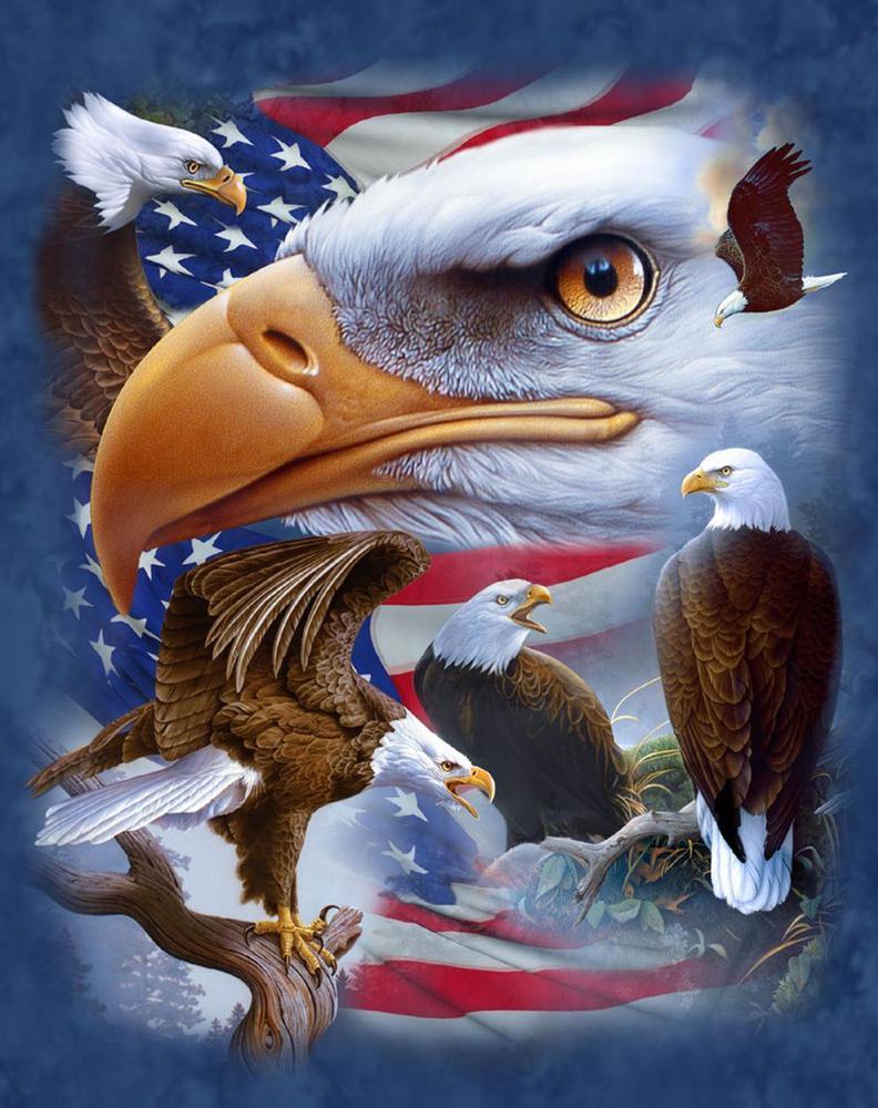 Free Eagle - MyCraftsGfit - Free 5D Diamond Painting