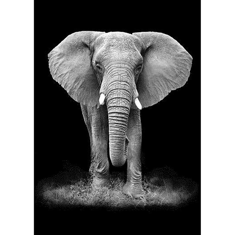 Free Elephant - MyCraftsGfit - Free 5D Diamond Painting