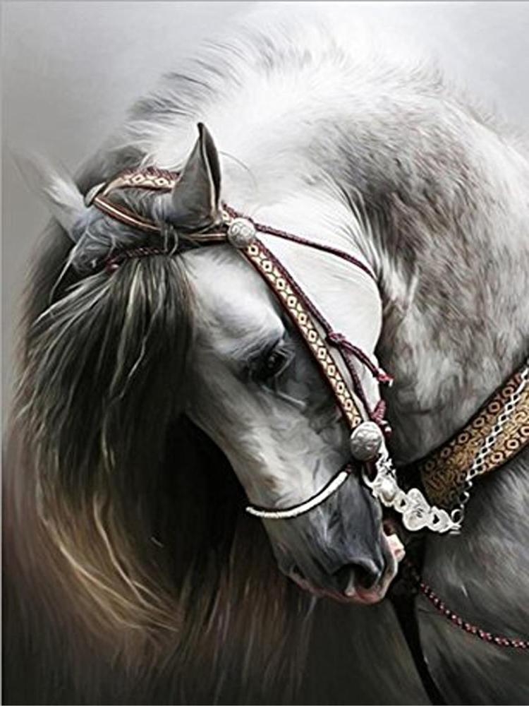 Free Horse - MyCraftsGfit - Free 5D Diamond Painting