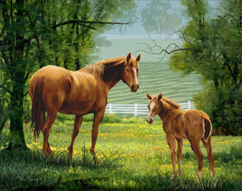 Free Horse - MyCraftsGfit - Free 5D Diamond Painting