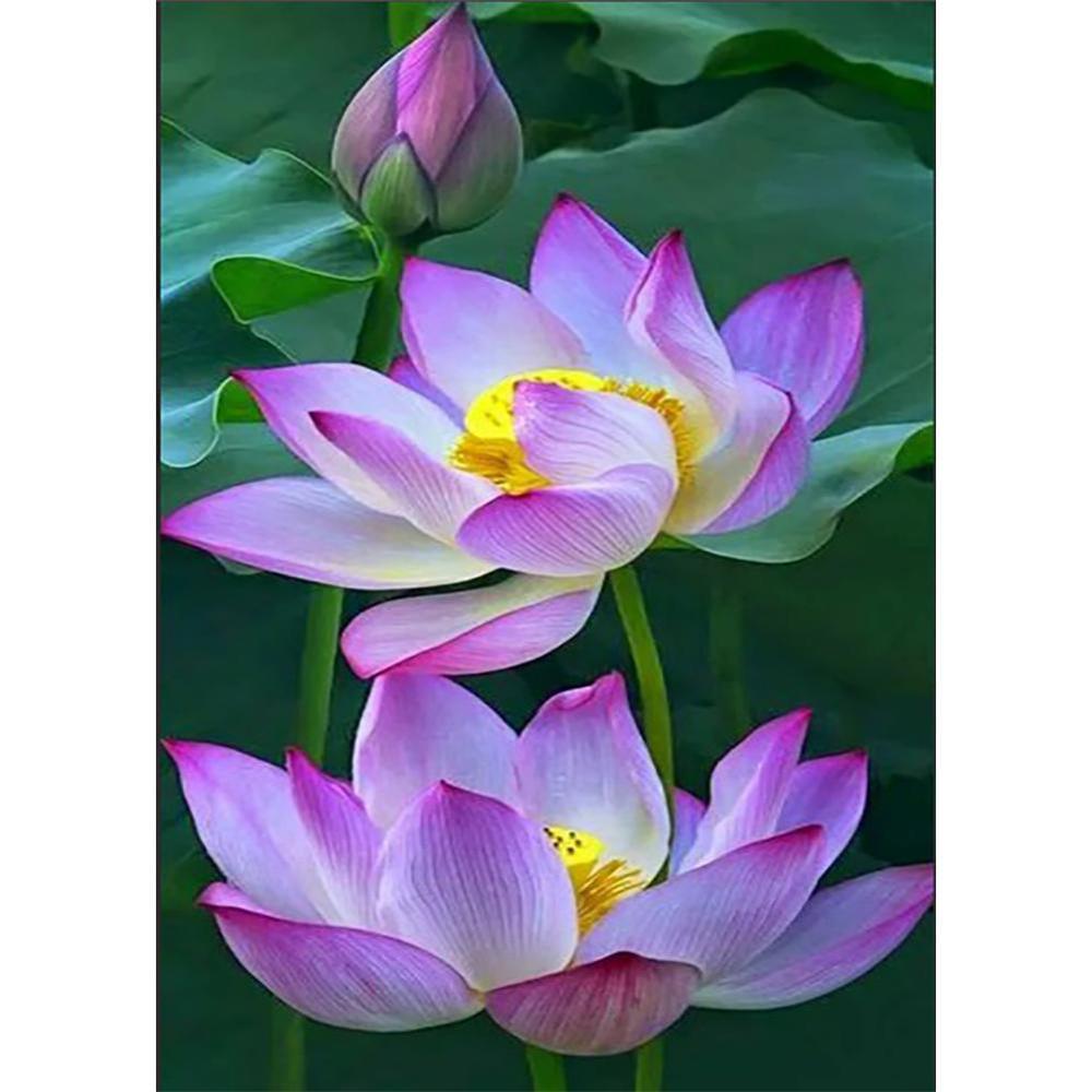 Lotus Free 5D Diamond Painting Kits MyCraftsGfit - Free 5D Diamond Painting mycraftsgift.com