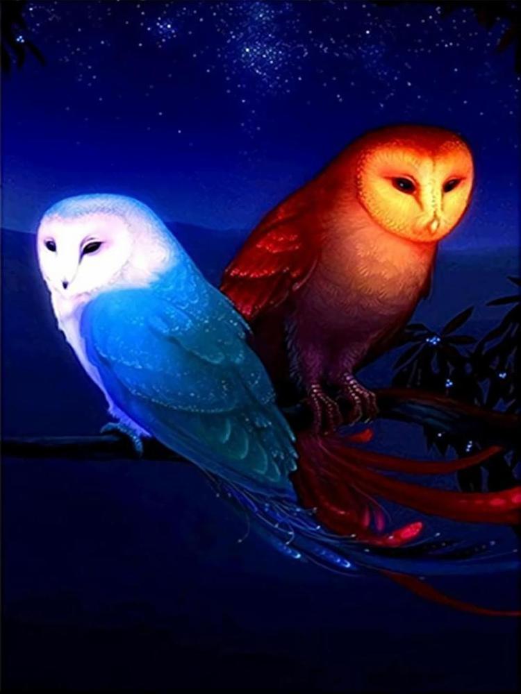 Free Owl - MyCraftsGfit - Free 5D Diamond Painting