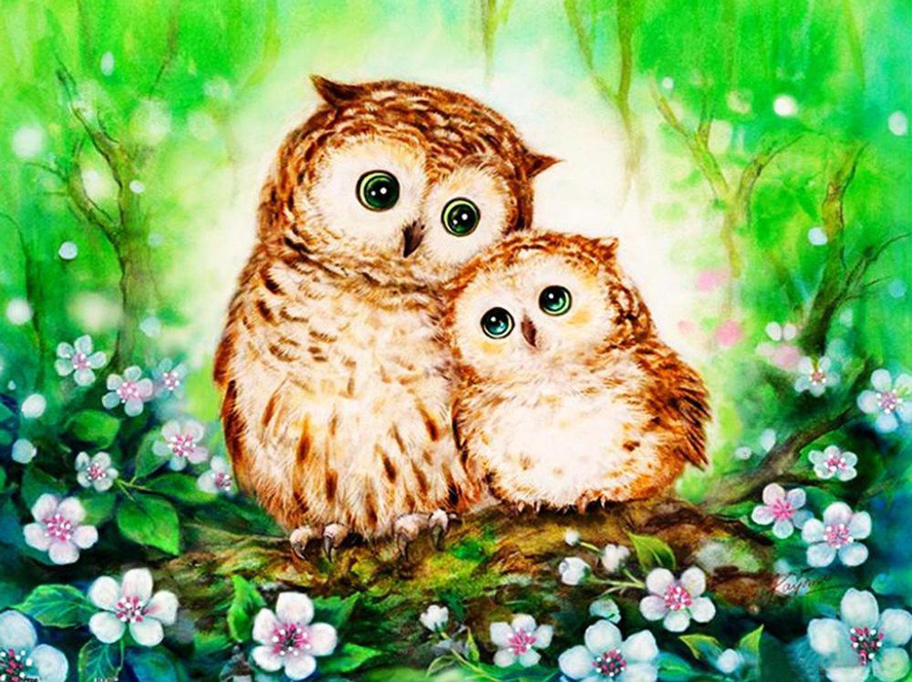 Free Owl - MyCraftsGfit - Free 5D Diamond Painting