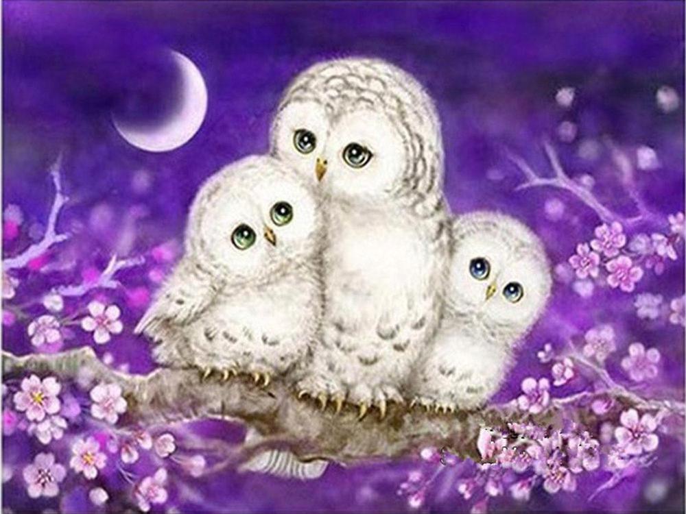 Free Owl - MyCraftsGfit - Free 5D Diamond Painting