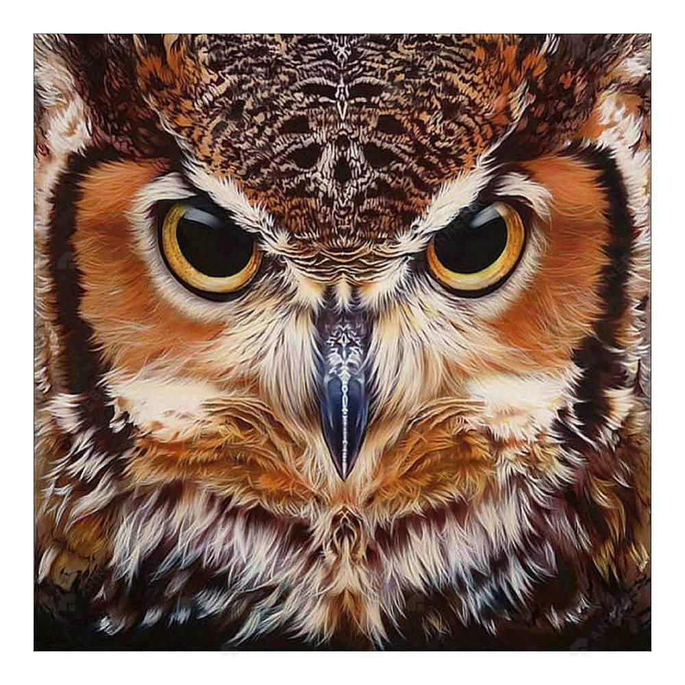 Free Owl - MyCraftsGfit - Free 5D Diamond Painting