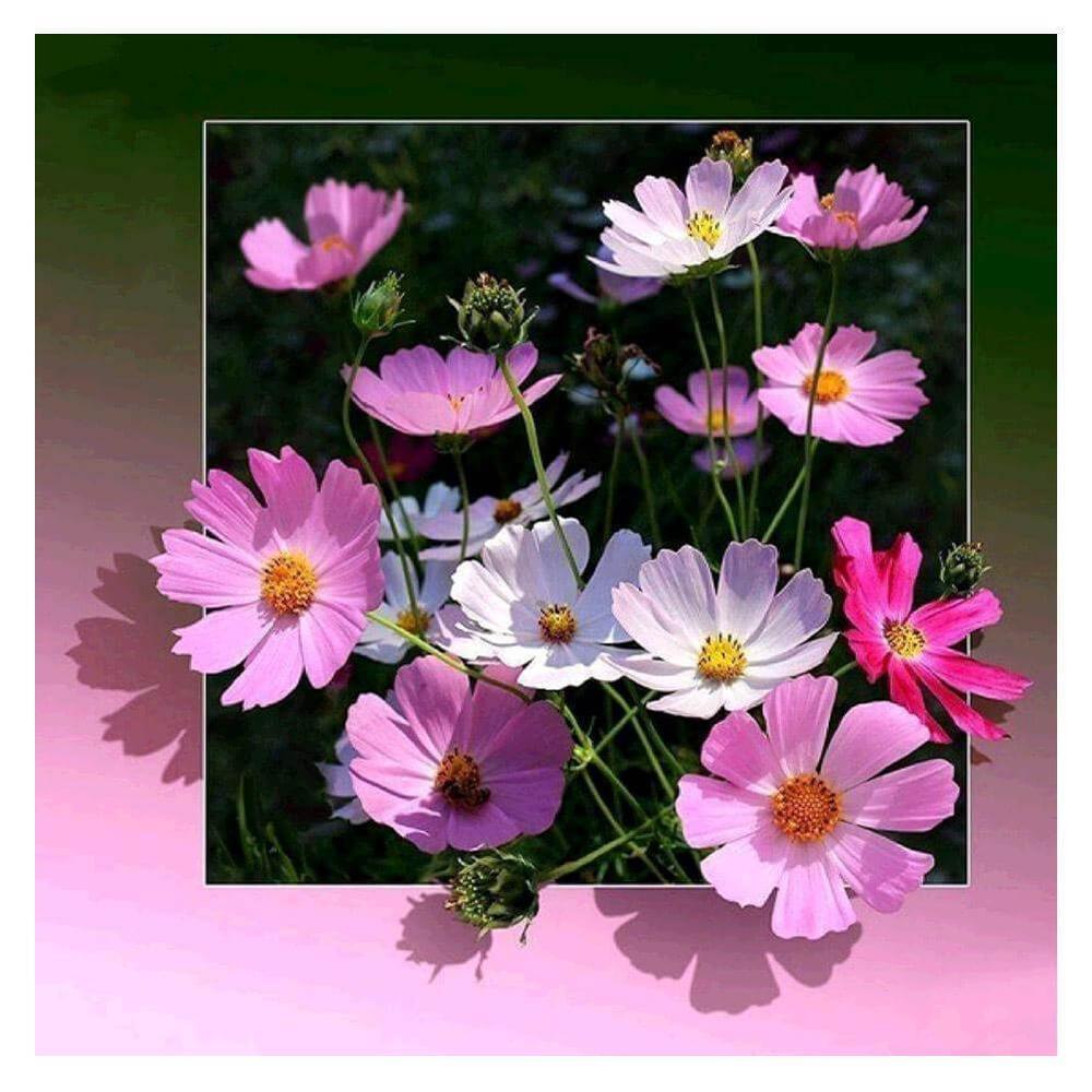 Free Pink Flowers - MyCraftsGfit - Free 5D Diamond Painting