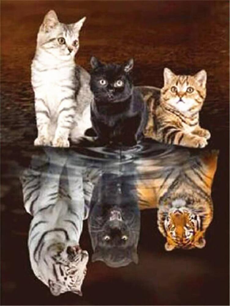 Free Reflection Of Three Cats - MyCraftsGfit - Free 5D Diamond Painting