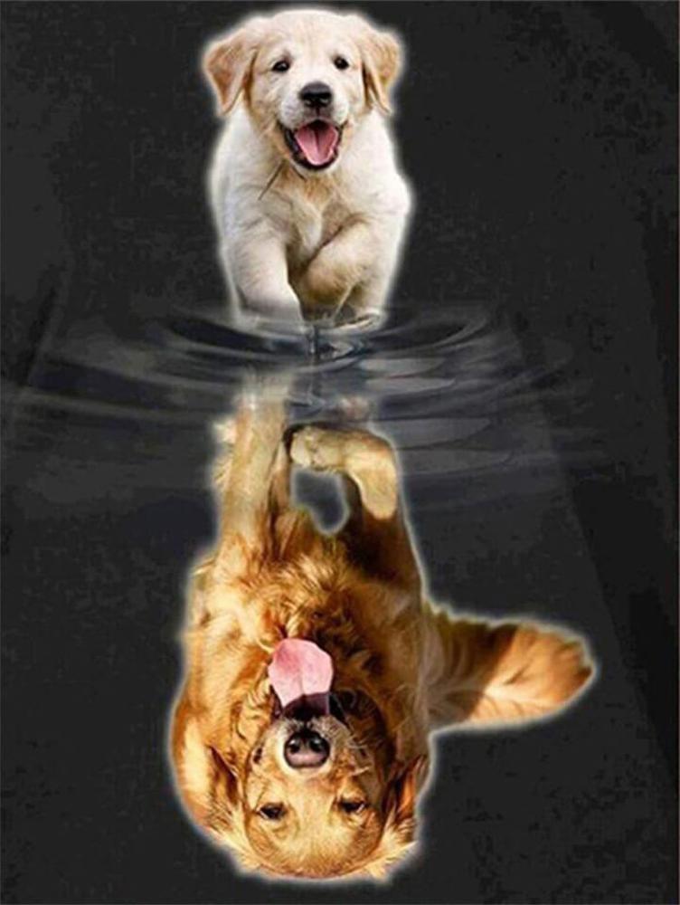 Free Reflection of Puppy - MyCraftsGfit - Free 5D Diamond Painting