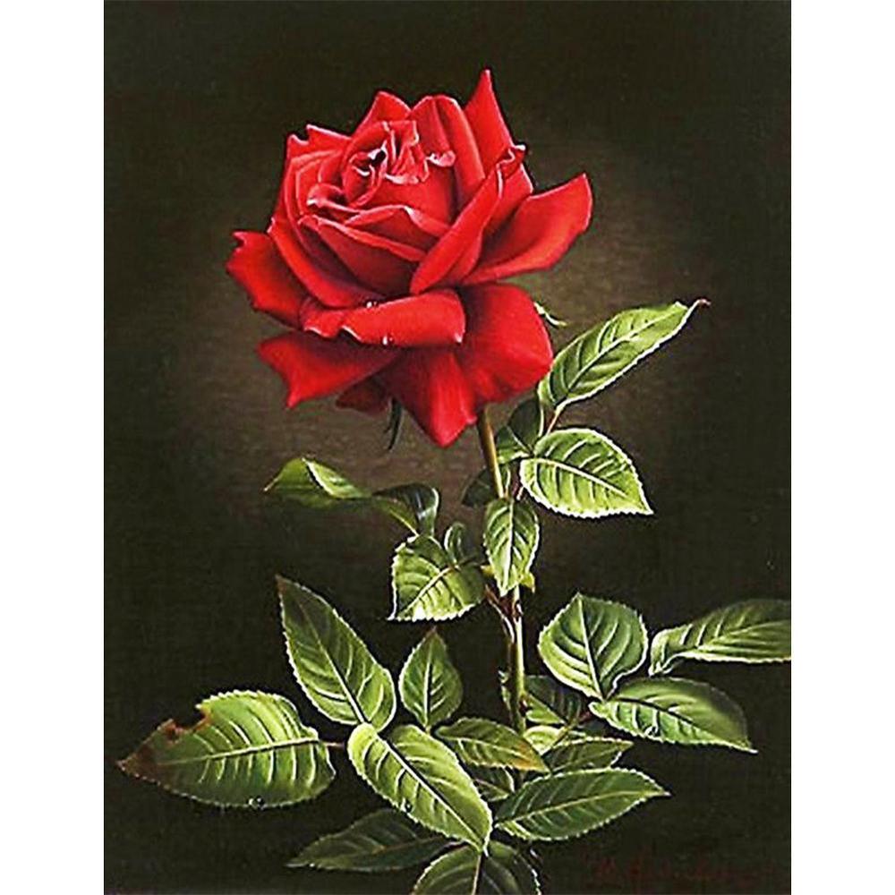 Free Rose - MyCraftsGfit - Free 5D Diamond Painting