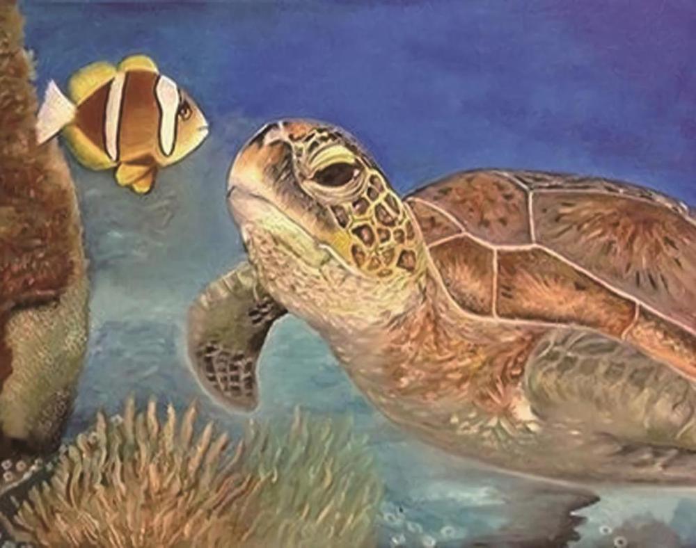 Free Sea Turtles - MyCraftsGfit - Free 5D Diamond Painting