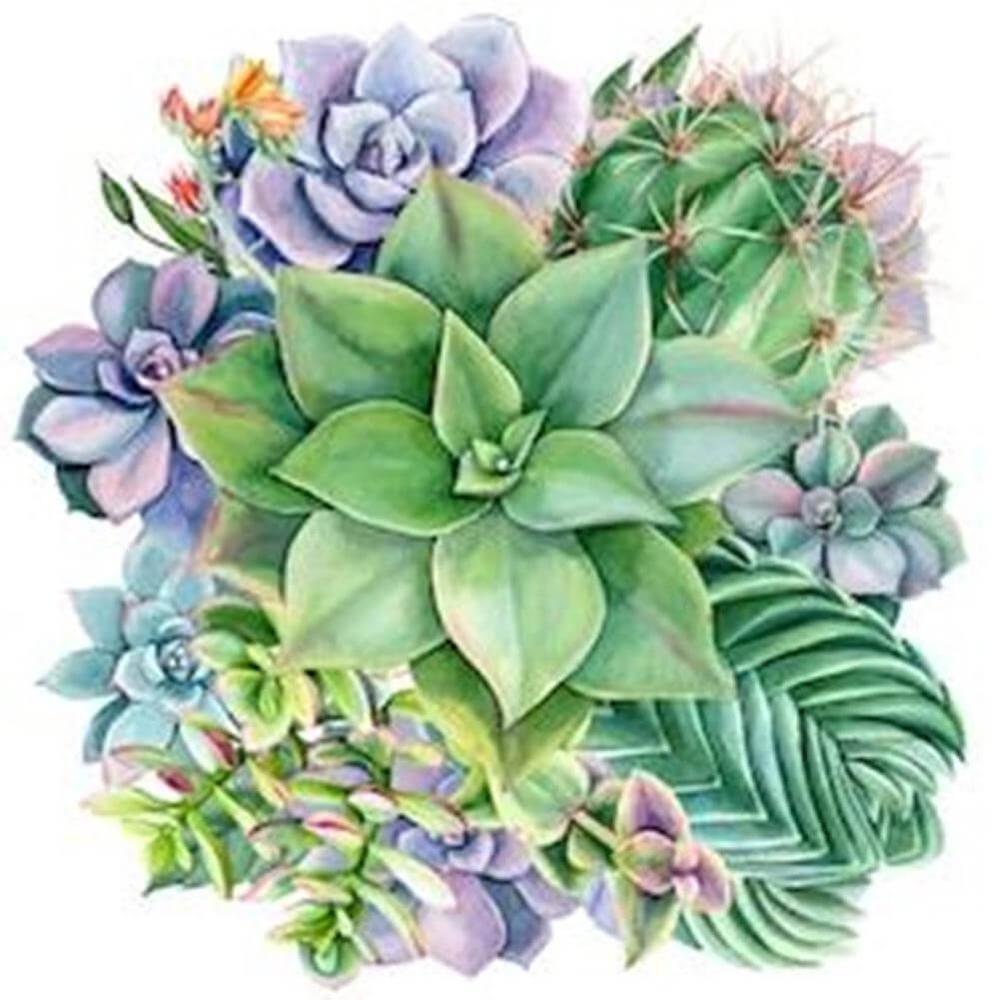 Free Succulent - MyCraftsGfit - Free 5D Diamond Painting