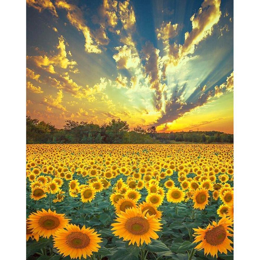 Free Sunflower - MyCraftsGfit - Free 5D Diamond Painting