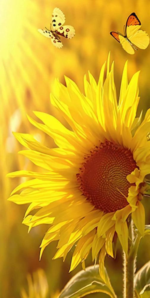 Free Sunflower - MyCraftsGfit - Free 5D Diamond Painting