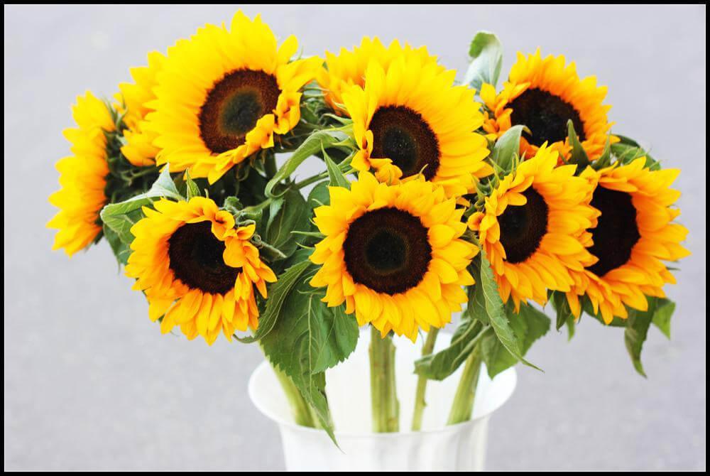 Free Sunflower - MyCraftsGfit - Free 5D Diamond Painting