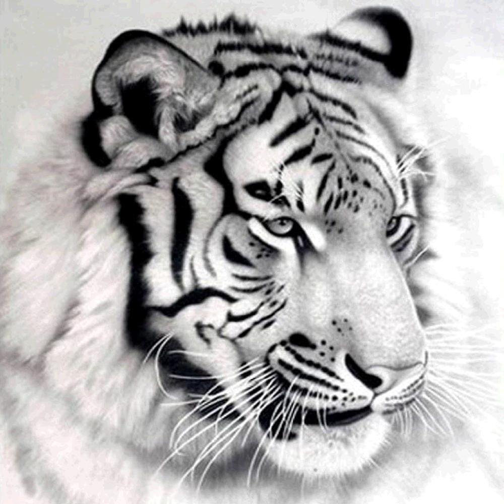 Free Tiger - MyCraftsGfit - Free 5D Diamond Painting