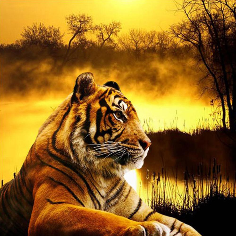 Free Tiger - MyCraftsGfit - Free 5D Diamond Painting