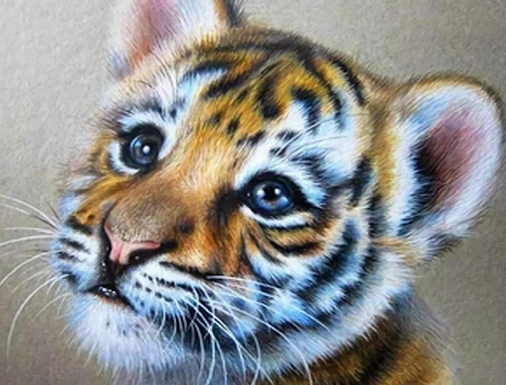 Free Tiger - MyCraftsGfit - Free 5D Diamond Painting