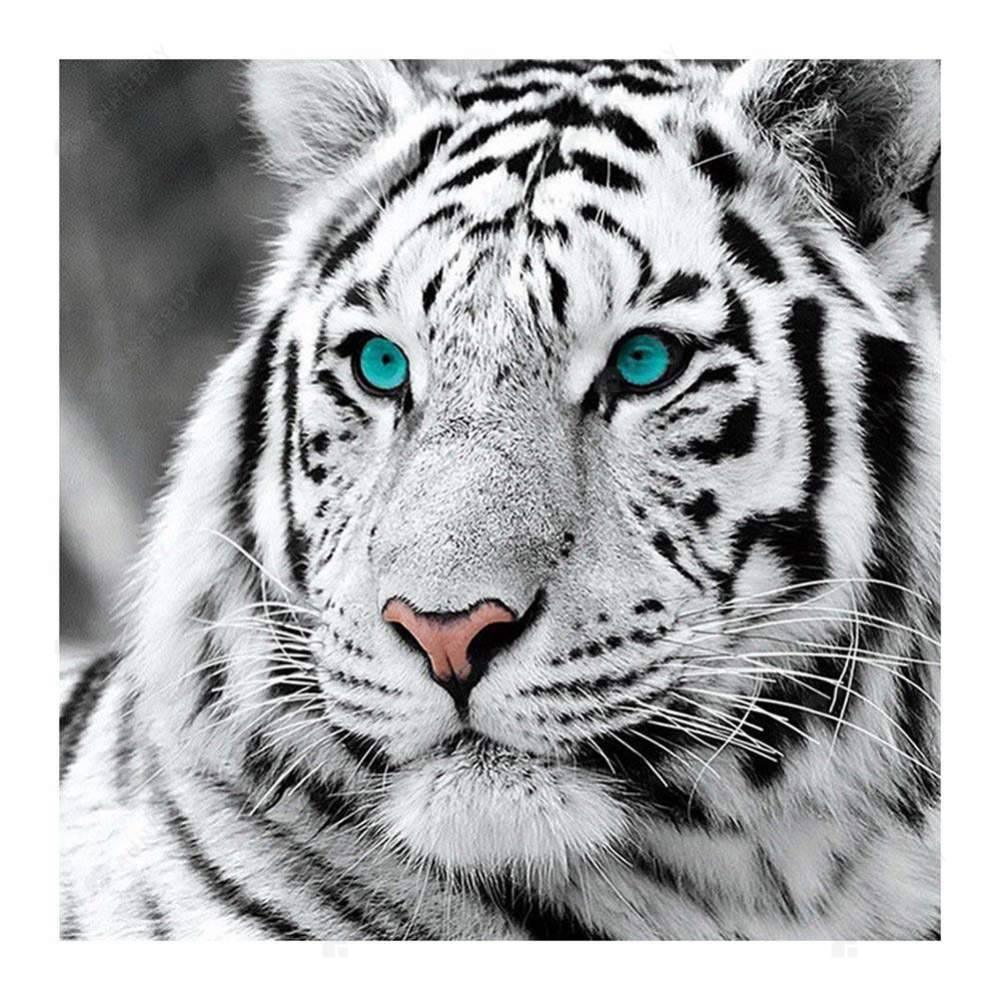 Free Tiger Head - MyCraftsGfit - Free 5D Diamond Painting