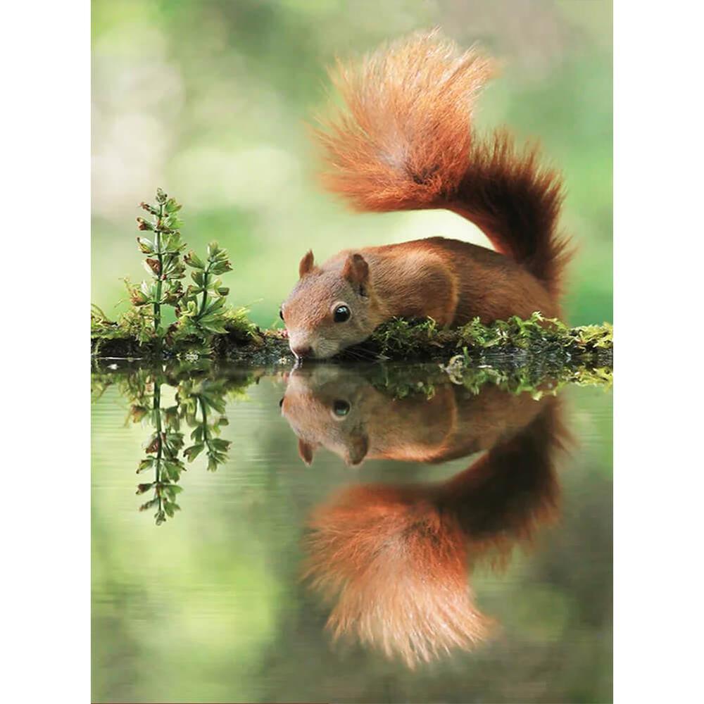 Free Waterfront Squirrel - MyCraftsGfit - Free 5D Diamond Painting