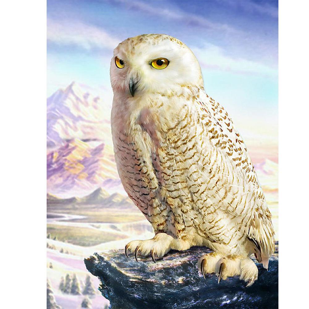 Free White Owl - MyCraftsGfit - Free 5D Diamond Painting