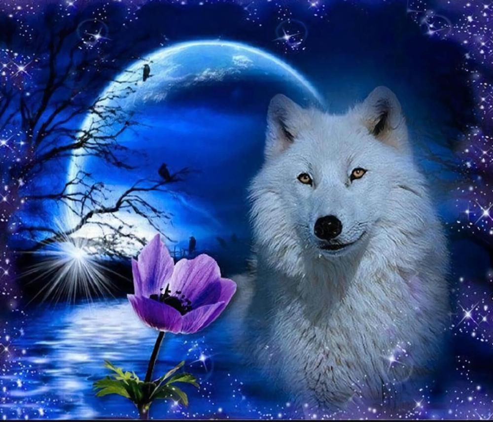 Free White Wolf In The Lake - MyCraftsGfit - Free 5D Diamond Painting