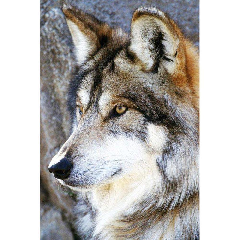 Free Wolf - MyCraftsGfit - Free 5D Diamond Painting